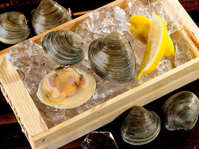 Countneck Clams image