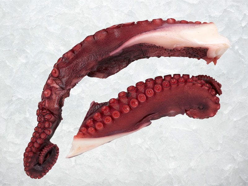 Product Image: Cooked Wild Spanish Octopus Tentacles