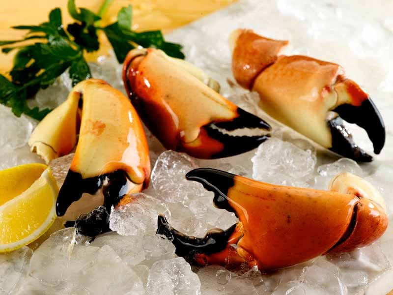 Cooked Wild Stone Crab Claws image