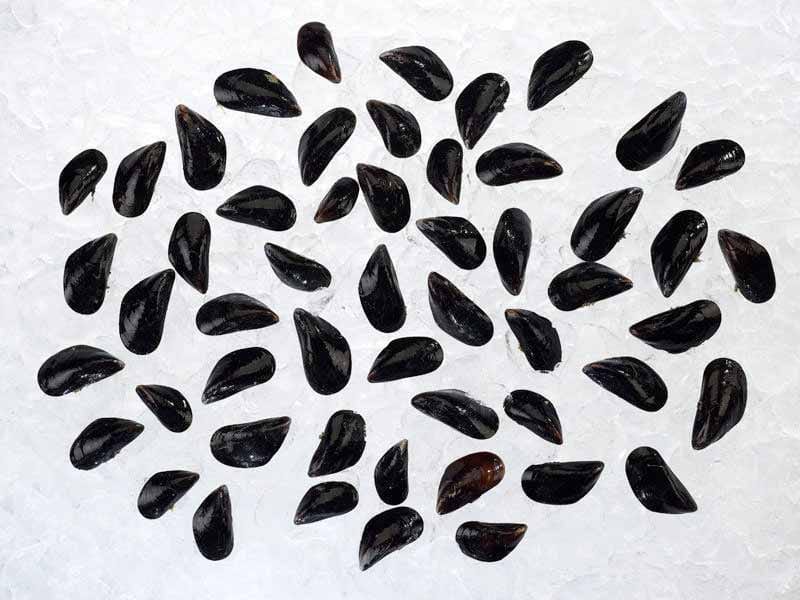 Product Image: PEI Mussels