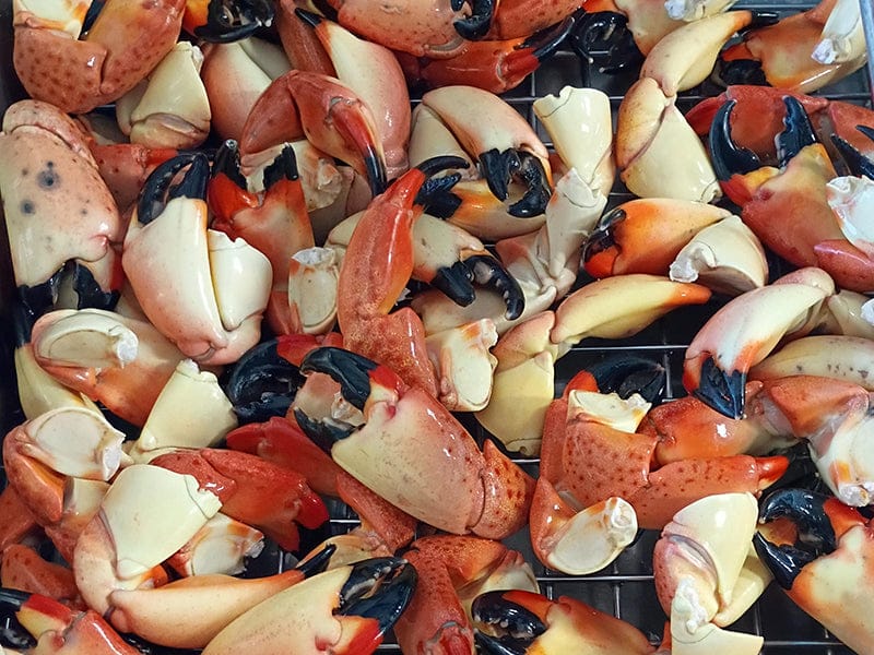 Product Image: Cooked Wild Stone Crab Claws