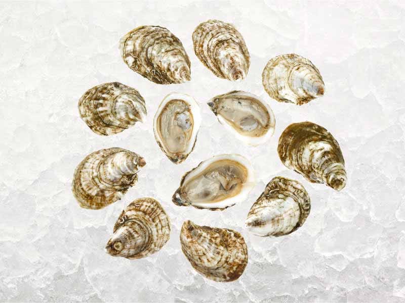 Product Image: Blue Point East Coast Oysters