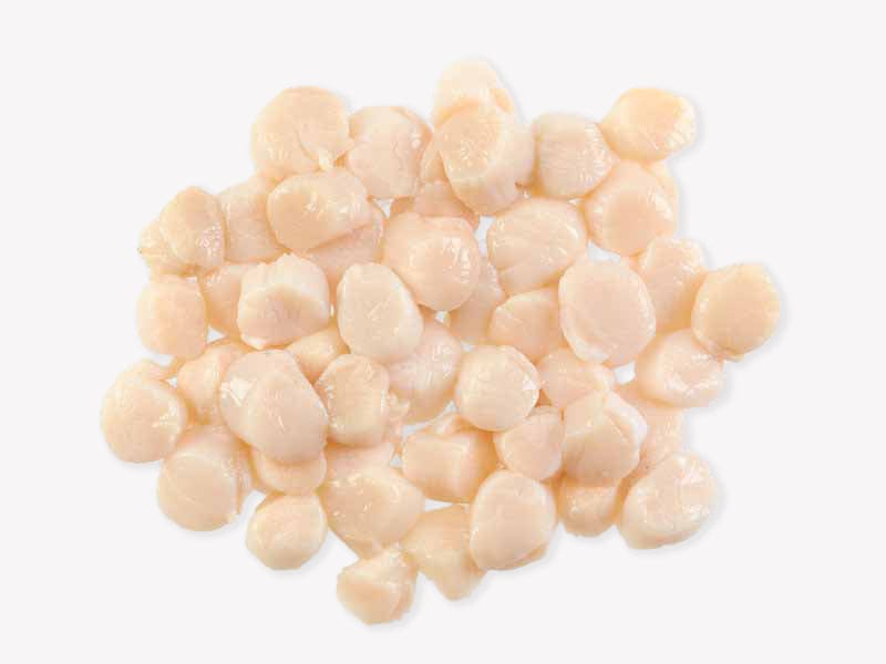Product Image: Fulton's Finest Wild Colossal Dry Sea Scallops - 1lb
