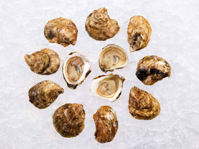 Product Image: Pemaquid East Coast Oysters