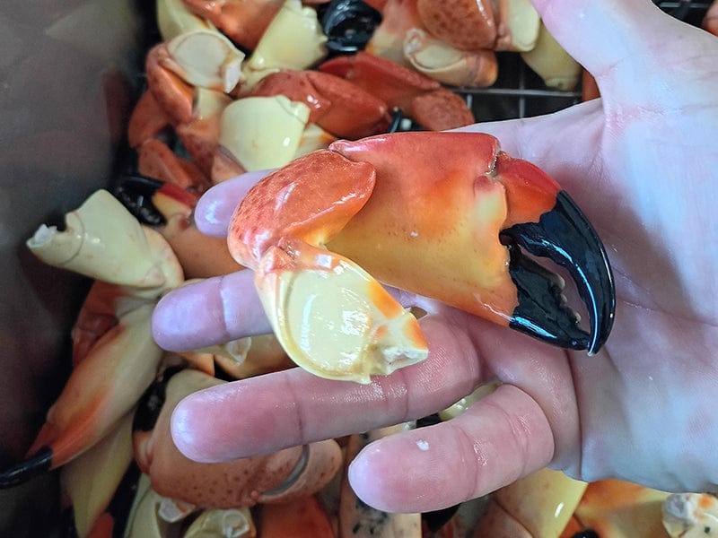 Product Image: Cooked Wild Stone Crab Claws
