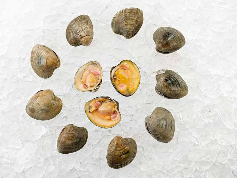 Product Image: Cherrystone Clams