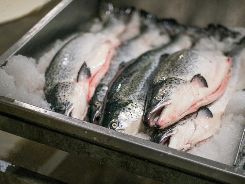 Product Image: Fulton's Finest Atlantic Salmon Portion - 1ct