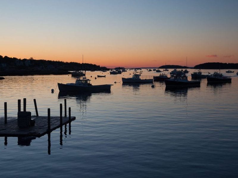 Product Image: Medium Cold Water Wild Lobster Tails - 2ct