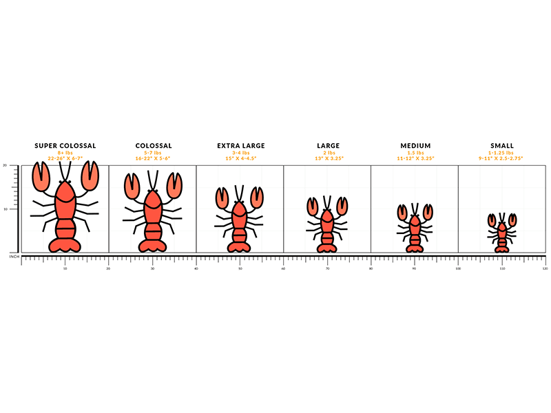 Product Image: Fresh Maine Lobster