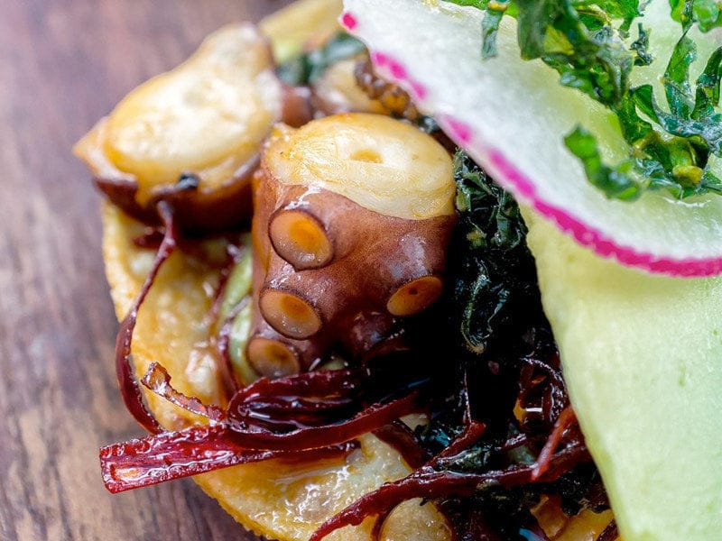 Product Image: Cooked Wild Spanish Octopus Tentacles