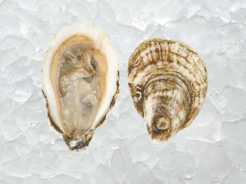 Product Image: Blue Point East Coast Oysters