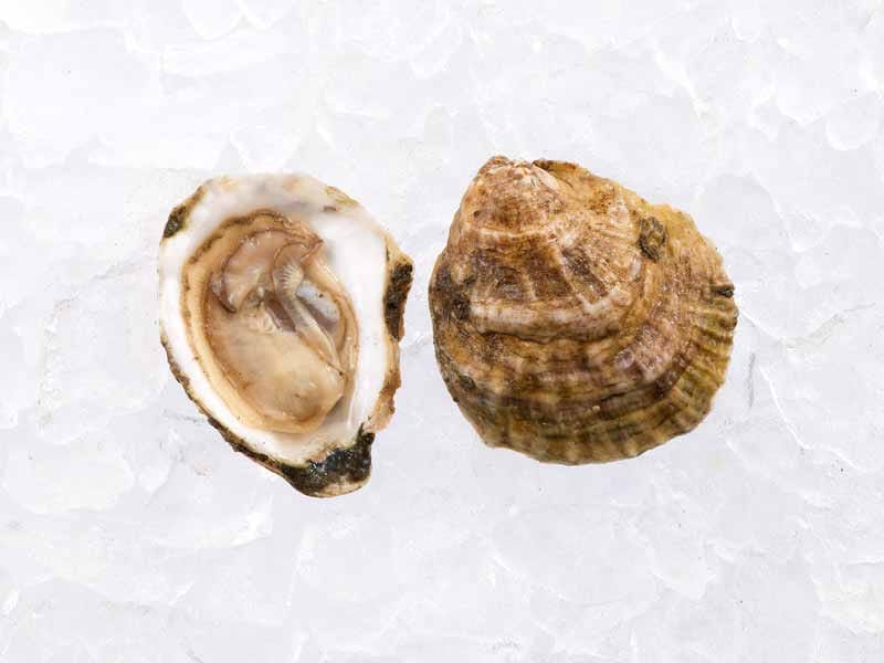 Product Image: Pemaquid East Coast Oysters