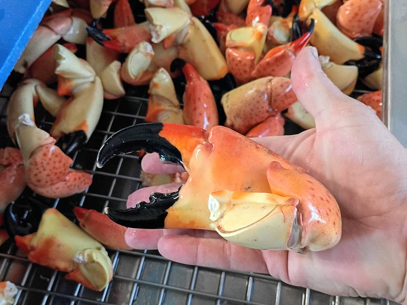 Product Image: Cooked Wild Stone Crab Claws