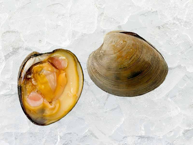 Product Image: Cherrystone Clams