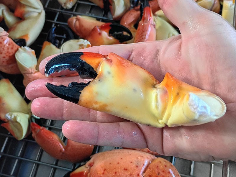 Product Image: Cooked Wild Stone Crab Claws