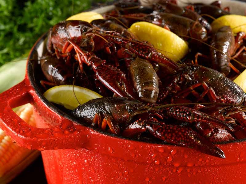 Product Image: Live Crawfish