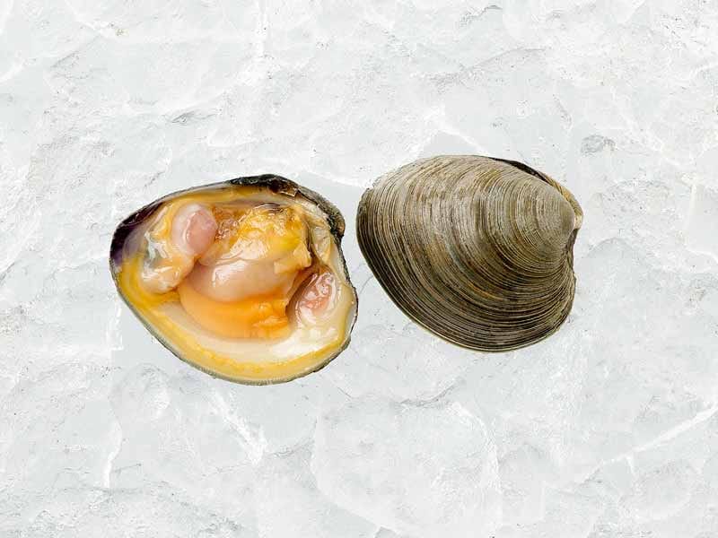 Product Image: Countneck Clams