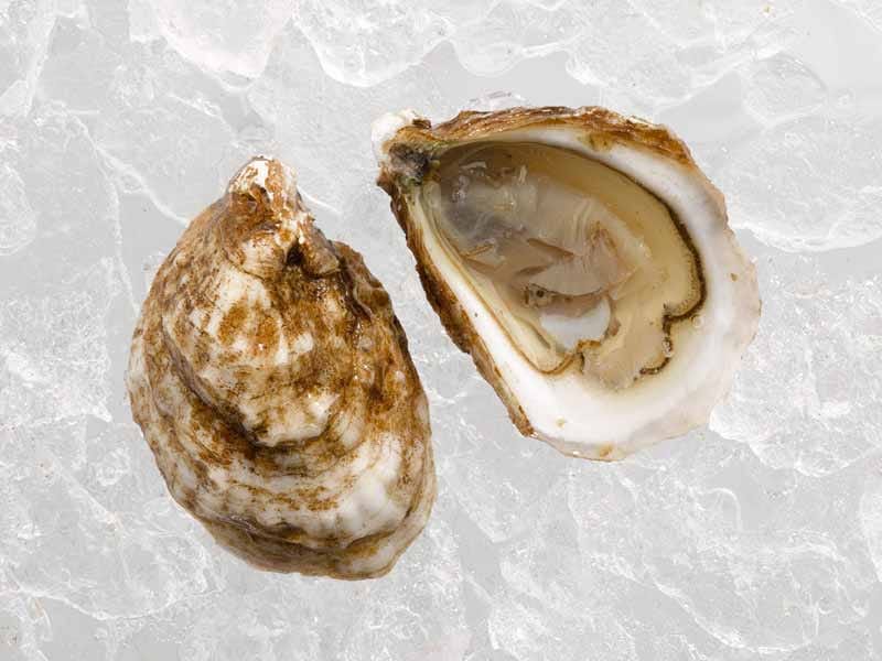 Product Image: Petite Pink Moon East Coast Cocktail Oysters