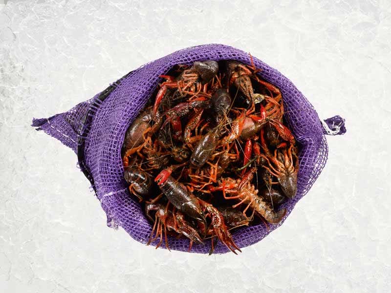 Product Image: Live Crawfish