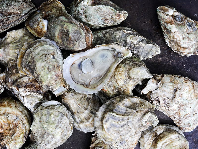 Blue Point East Coast Oysters image