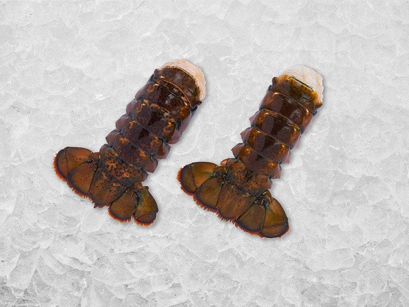 Product Image: Medium Cold Water Wild Lobster Tails - 2ct