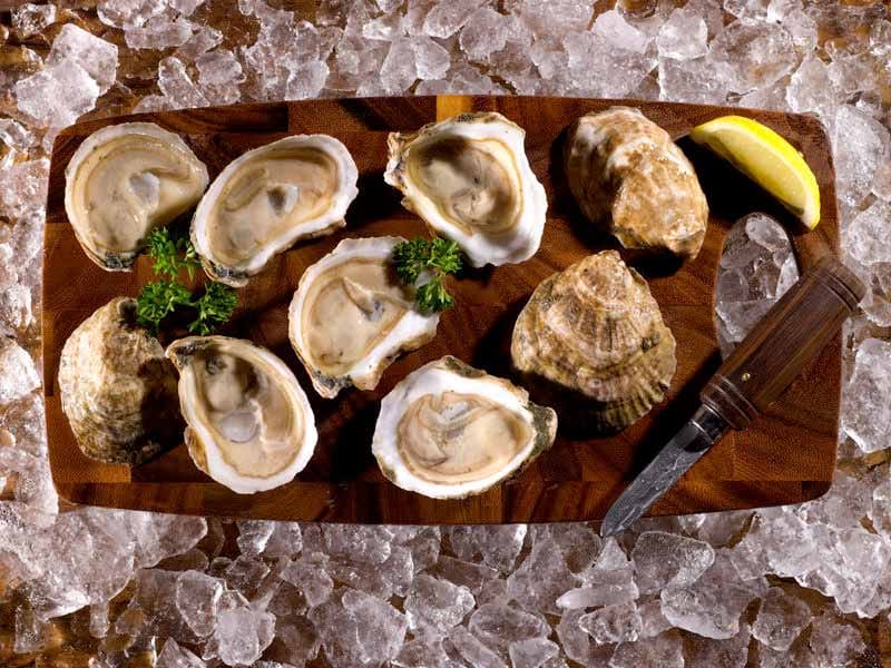 Pemaquid East Coast Oysters image