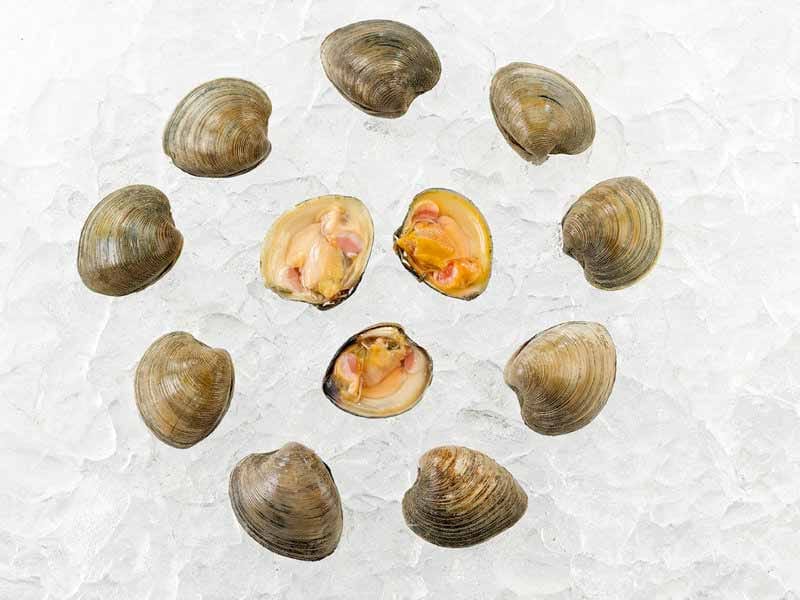 Product Image: Countneck Clams