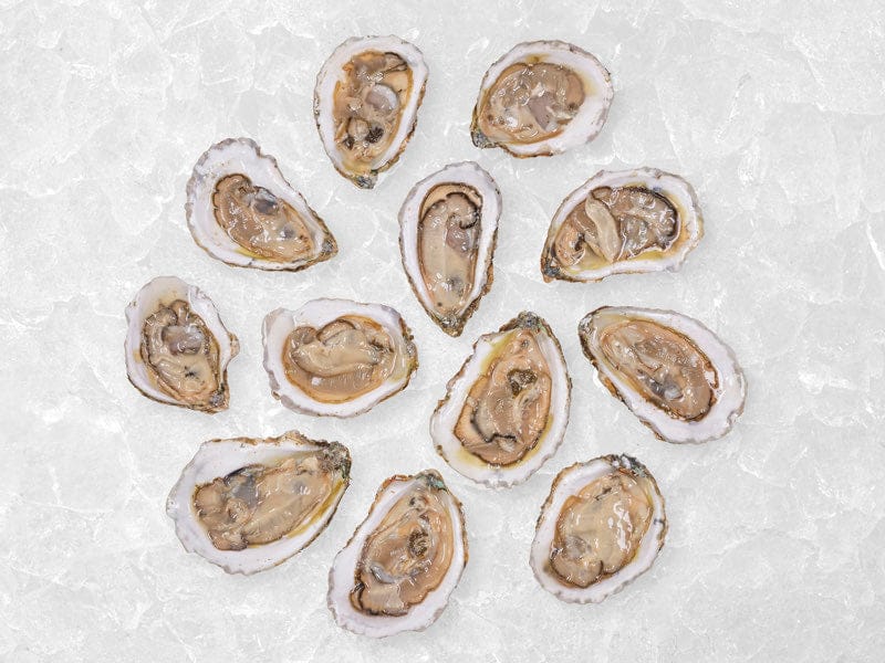 Product Image: XL East Coast Oysters