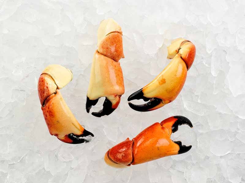 Product Image: Cooked Wild Stone Crab Claws