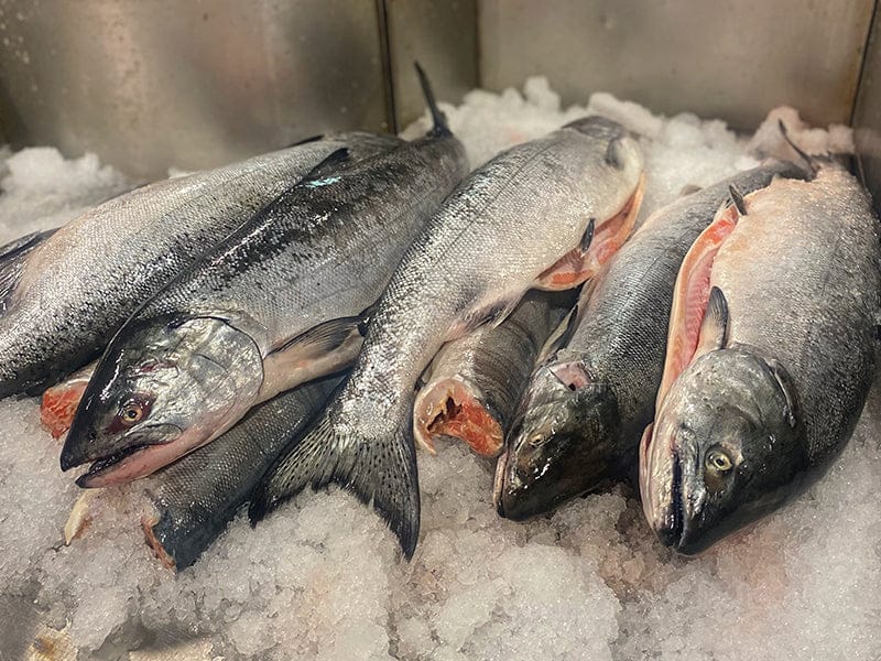 Product Image: King Salmon Portion - 1ct