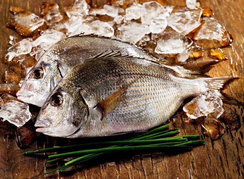 Wild Whole Porgy image