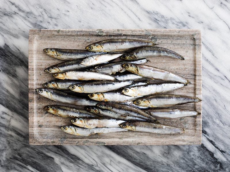 Wild Whole Anchovies - 15.87oz image