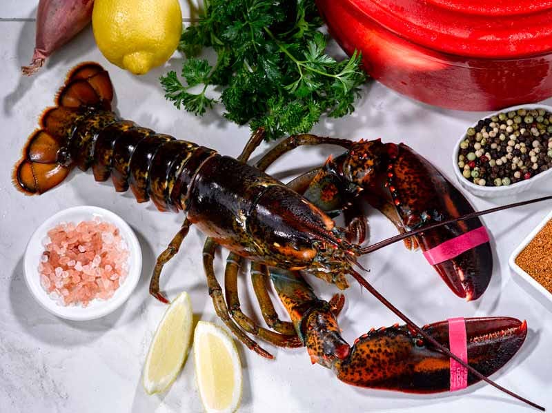 Live Cold Water Wild Lobsters image